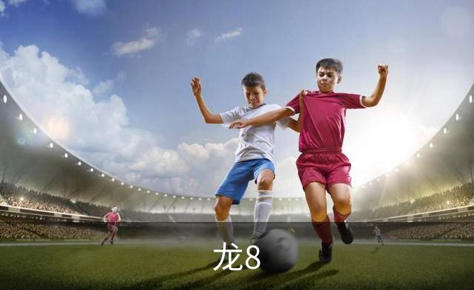 了解龙8
